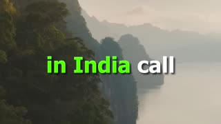 Thailand Accepts Crypto Payments | India Still Confused?
