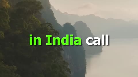 Thailand Accepts Crypto Payments | India Still Confused?