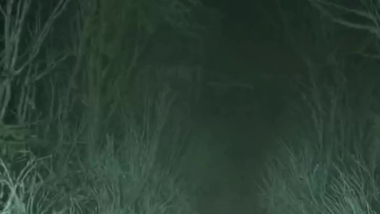 This went from chill to WTF in 1 second