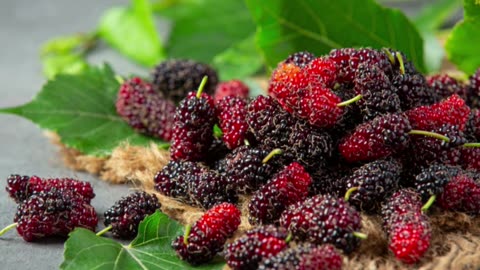 गर्मियों में शहतूत खाने के फायदे #short #health #viarl #trending