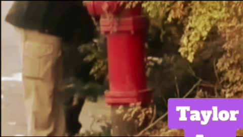 Idaho 4 True Crime throwback to the beginning Moscow Idaho Four short video YouTube