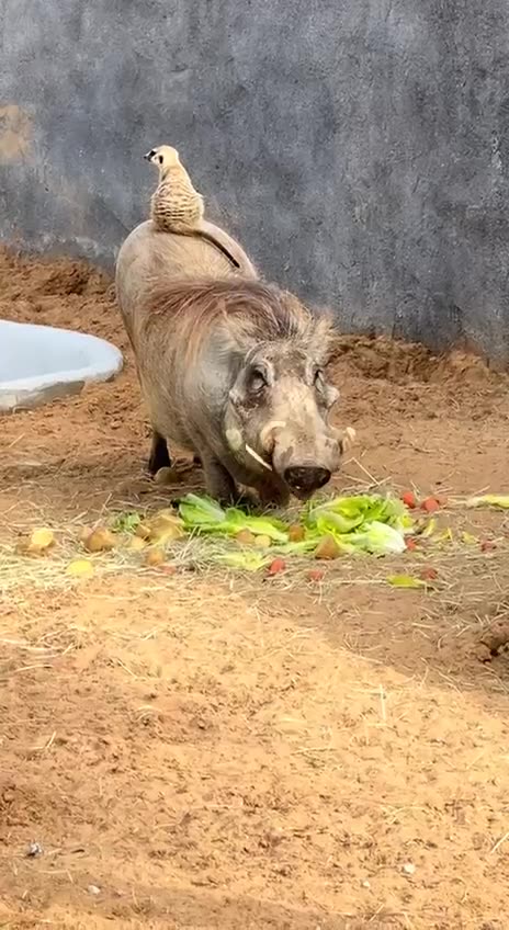 Real life imitating art 😊