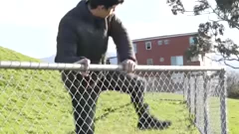 how-animals-get-over-a-fence