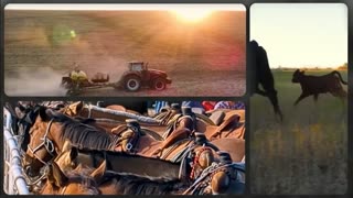 Trent Loos in the Morning - 10/28/2025