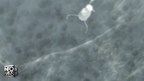 Creators of Bombshell Doc "Died Suddenly" Discover the Sinister Reality of Nano-Laced Vaccines