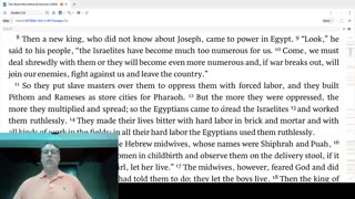 31 Story of God's Love - Moses is Born and Exiled