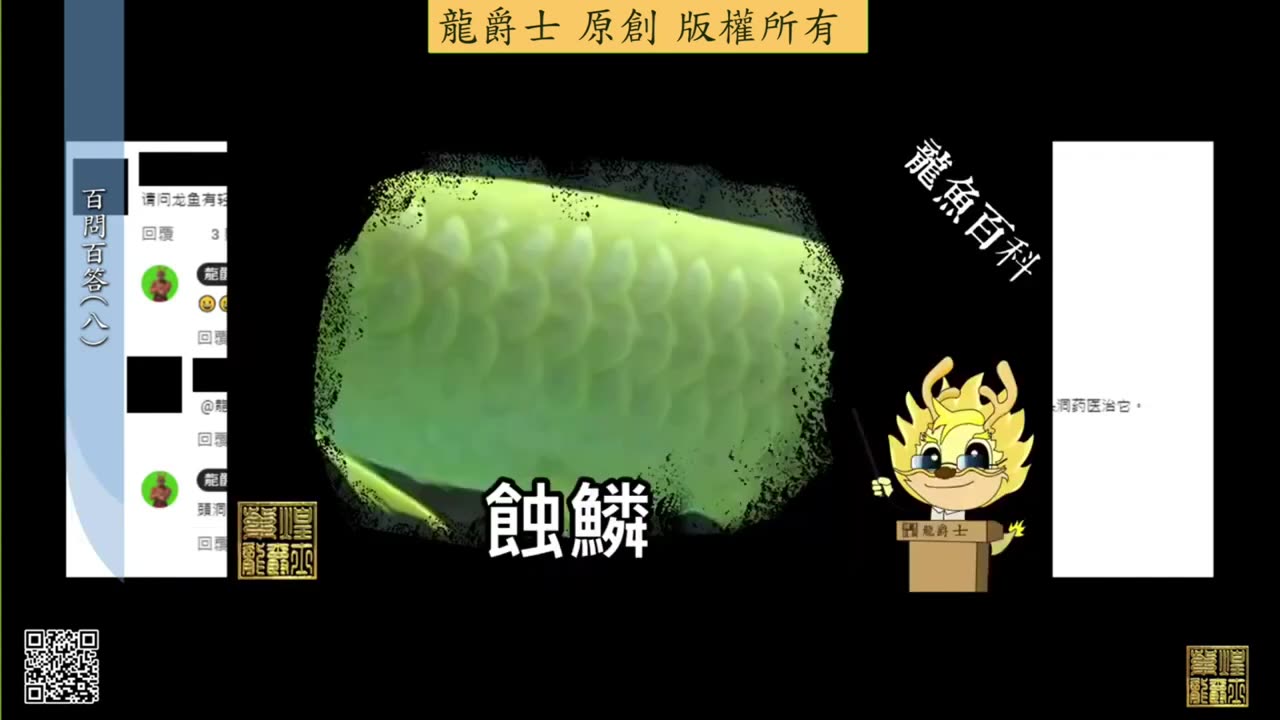 【龍爵士】千問千答 Q77 龍魚有輕微的融鱗怎麼辦