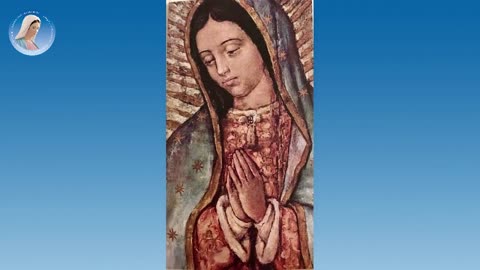 (3 GIUGNO 2025) – PADRE LIVIO: “LETTURA CRISTIANA DELLA CRONACA E DELLA STORIA!!” =IN QUESTO POVERO MONDO AL 🛑COLLASSO GENERALE, PIENO DI SERPI E DI SCORPIONI, RIMANIAMO UOMINI DI GIOIA, DI PACE E DI SPERANZA=/|😇💖🙏|\