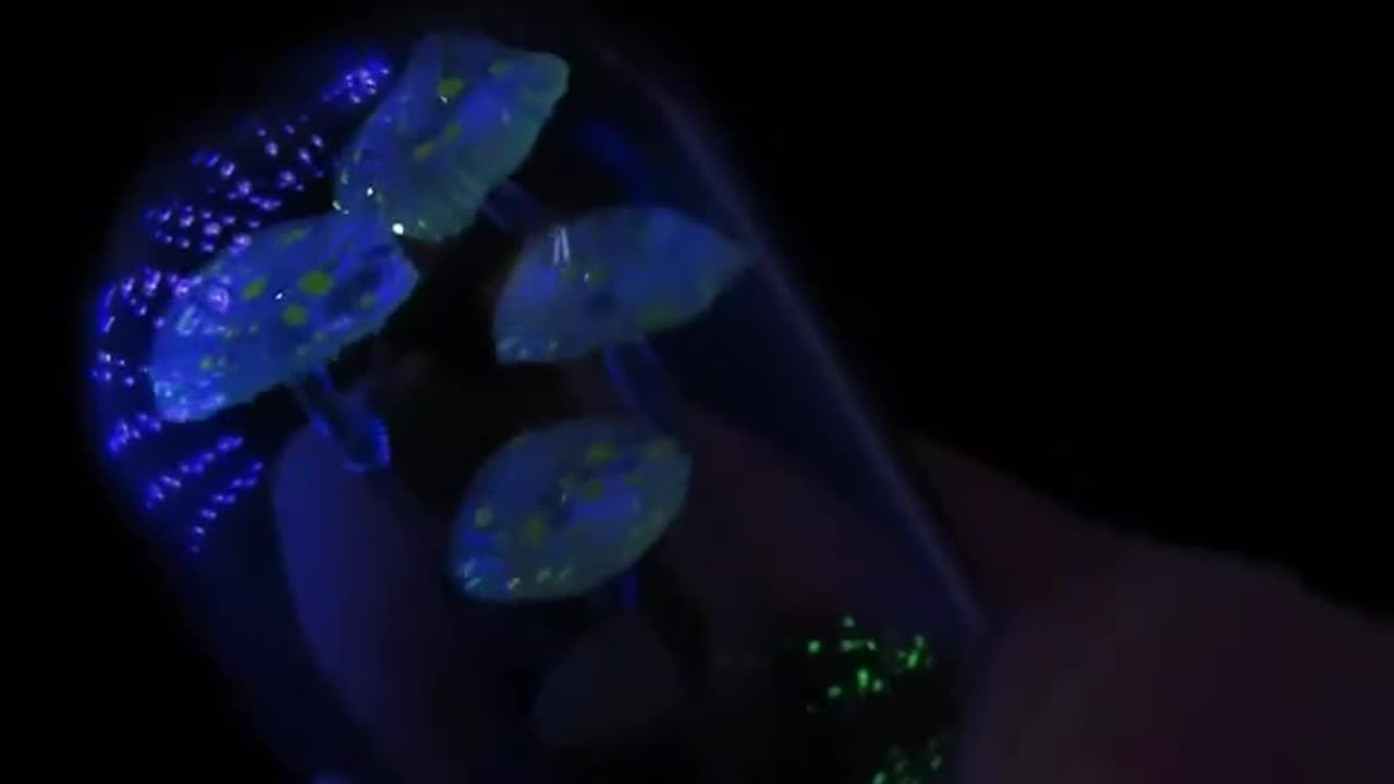 Created by Vsista for you who love art.🪷🪷🪷🌹