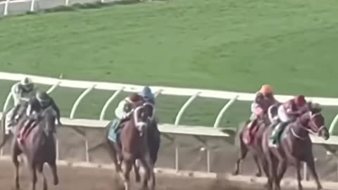 Forever Young (JPN) - BC Classic