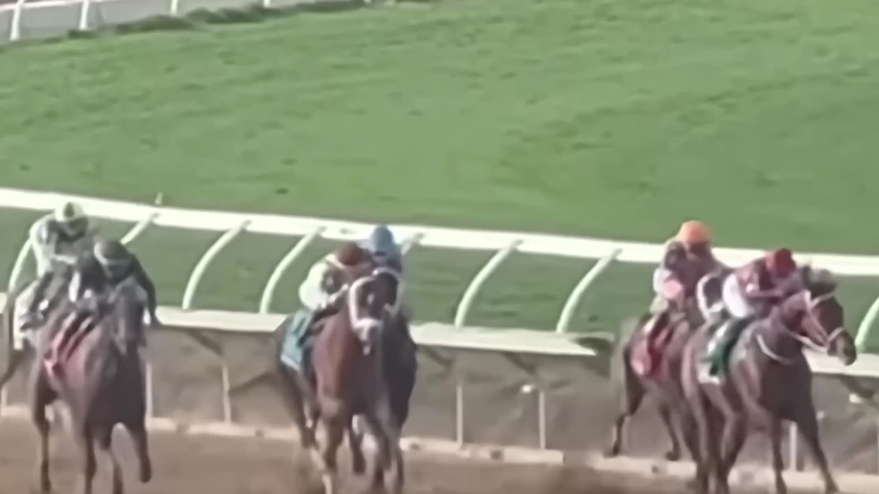 Forever Young (JPN) - BC Classic