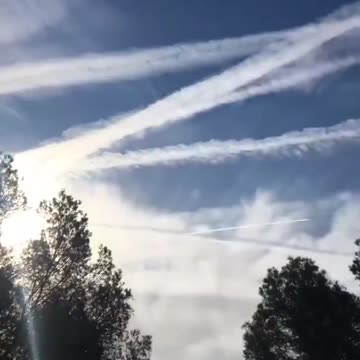 Vraiment, comment cela doit-il être plus évident ? Veuillez simplement lever les yeux…