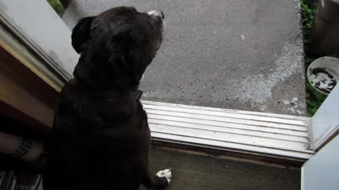 Thunder Storm July 2 2025 part 2