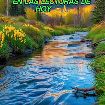 🙏✨Oración Inspirada en las Lecturas de Hoy ✨🙏