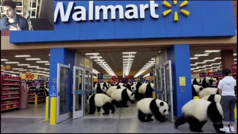 Outtake #1,208 Of Over 5 Panda Bears Roam Around A Walmart Supercenter Fake Funny Parody Video
