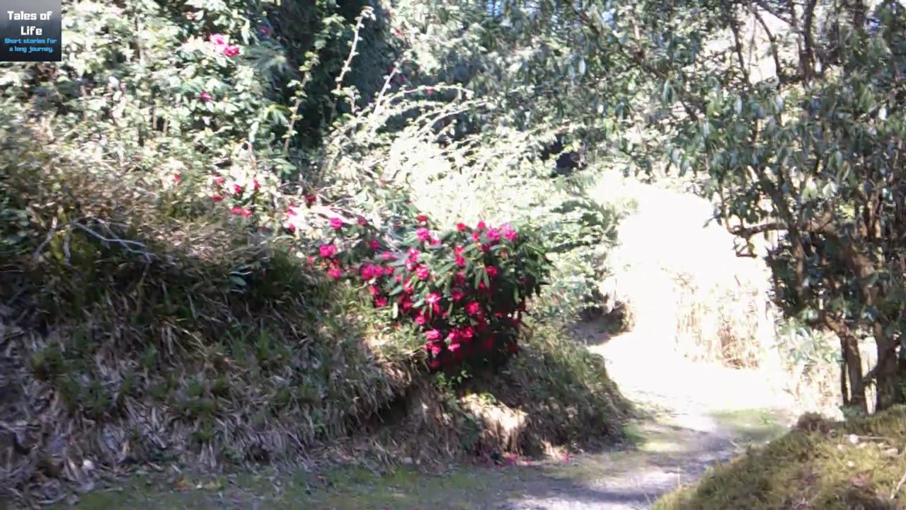 Muncaster Castle pt 3 Cumbria England Tour