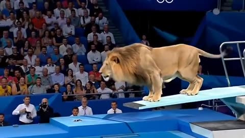 Olympic Sports competition between Animals giraffe lion tiger zebra hippopotamus elephant,