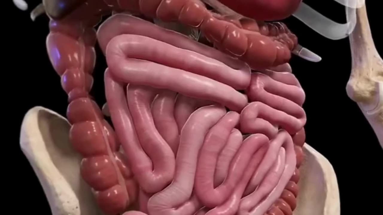 यह दुनिया की सबसे ताकतवर ड्रिंक जिसे पीने से शरीर में खून आयरन