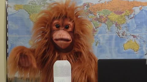Newest Puppet news member to cover federal Politics..