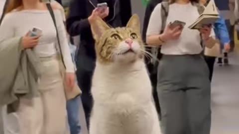 Metro Statue