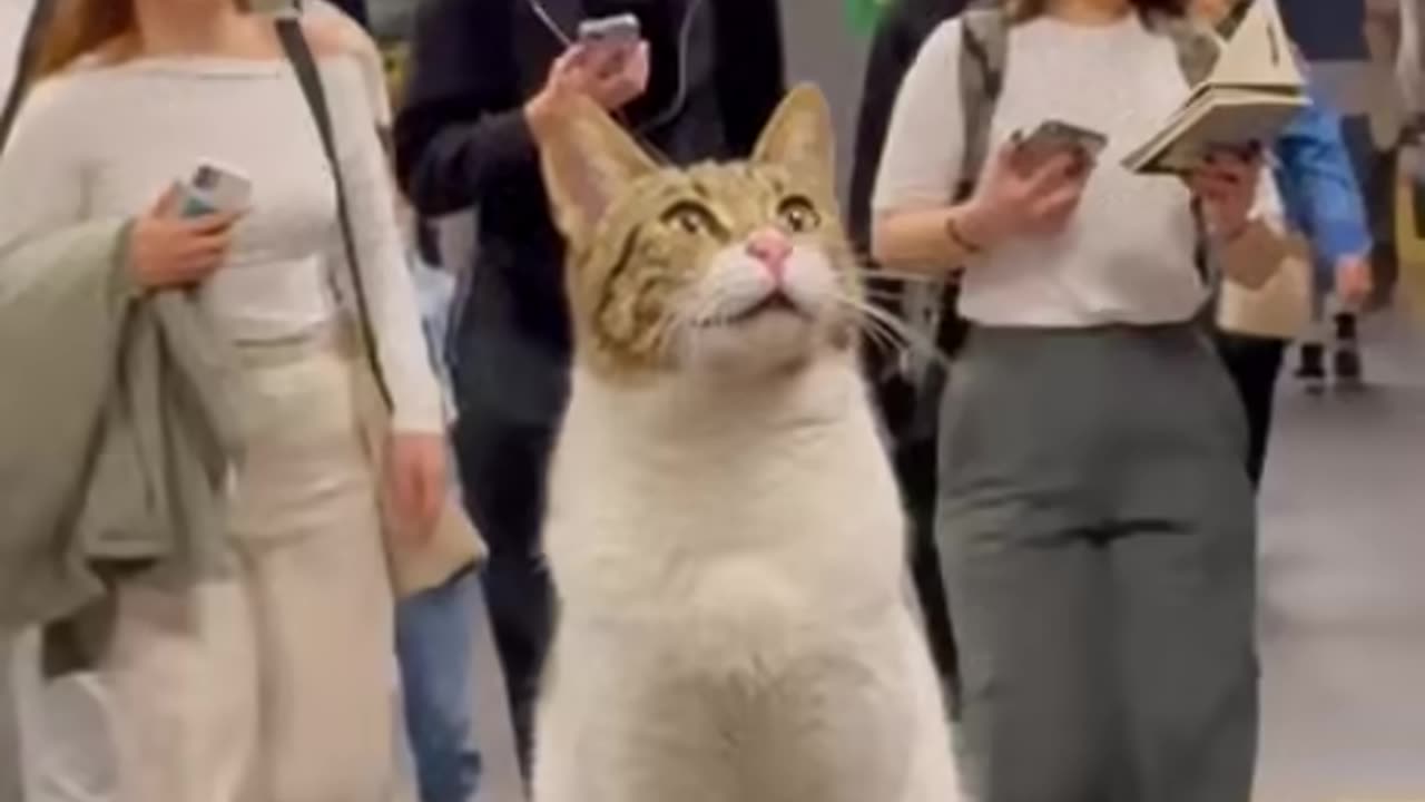 Metro Statue
