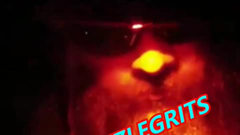 SGT-G TV PROMO 4