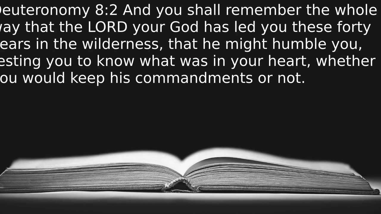 Letting Go Of Your Seasons - Ecclesiastes 3:1-8