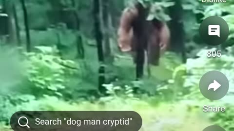 Another Bigfoot Sasquatch/ Real or not