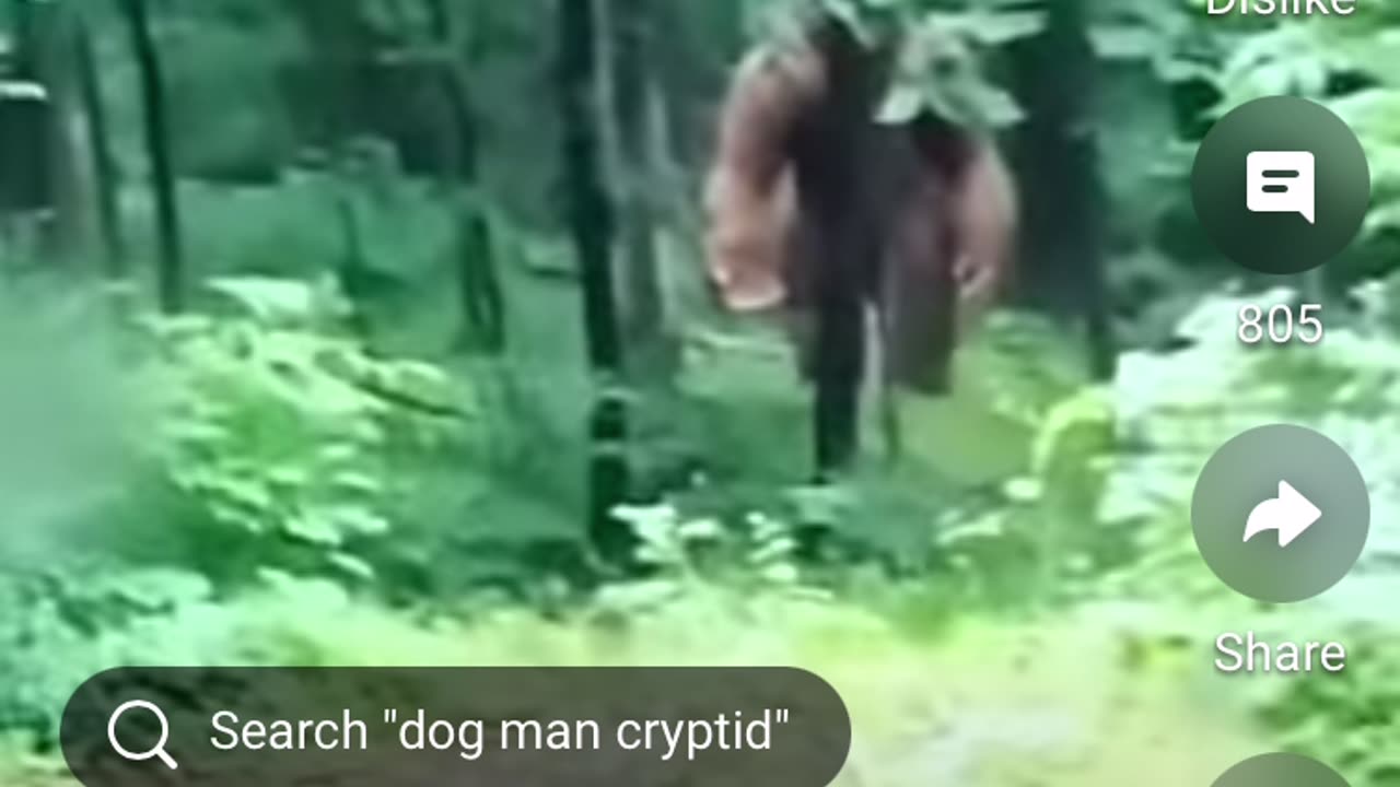 Another Bigfoot Sasquatch/ Real or not