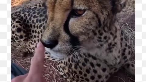 Wild world - wild discussions. So cute 🥰 | FunFM