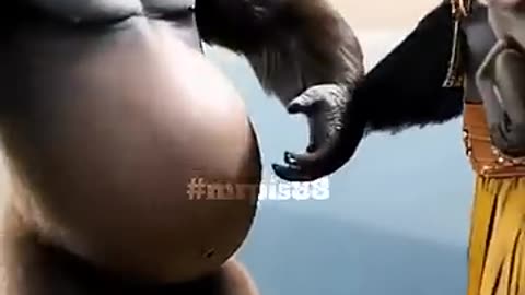 FunnyAnimal video-aniaml wedding