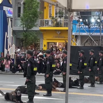 Glory to the People's Public Security of Vietnam (Part 4)