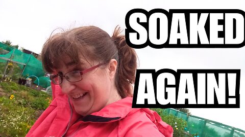 Allotment Life: Two Soakings vs Tiny Triumphs!