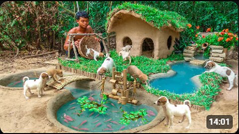 Rescue Abandoned Puppies Building Mud House Dog And Fish Pond For Red Fish