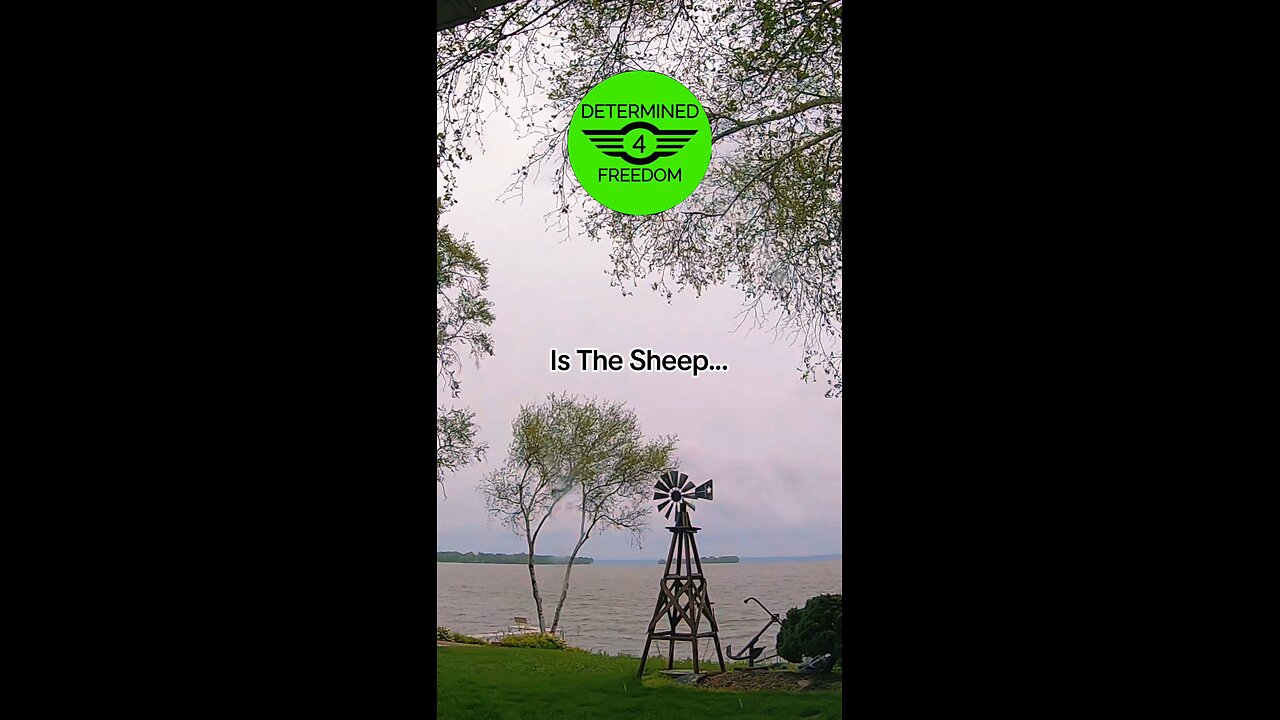 Is The Sheep...