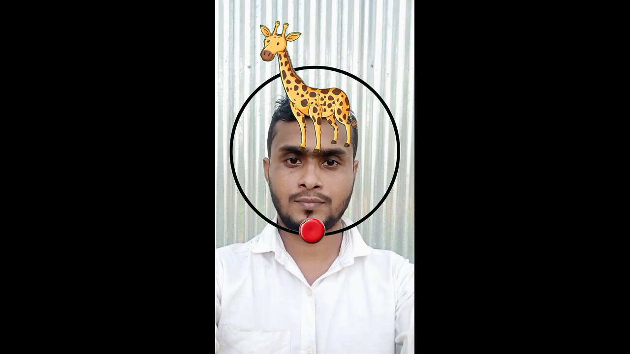 জিরাফের মাথাটি জোড়া লাগান #Amazing #puzzle #vairalreels #virals #reels #shorts