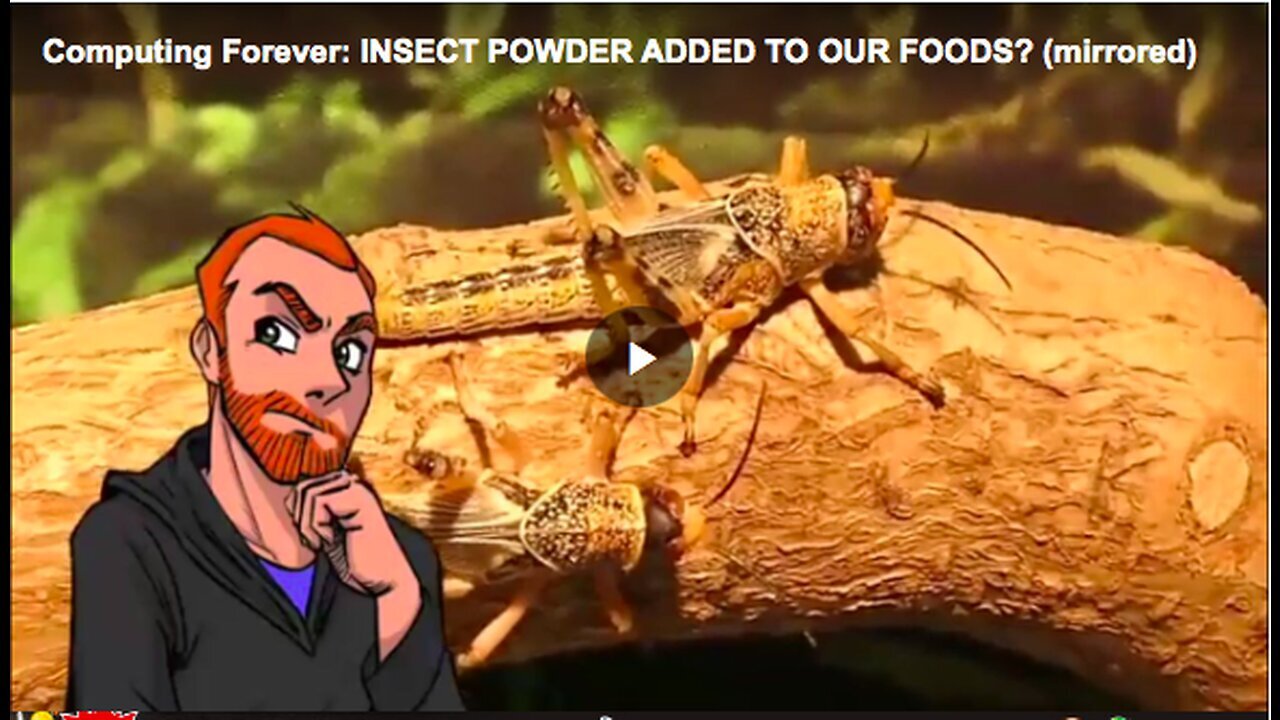 "Normalizing Insect Consumption: Using Insect Powder as Food Additives"