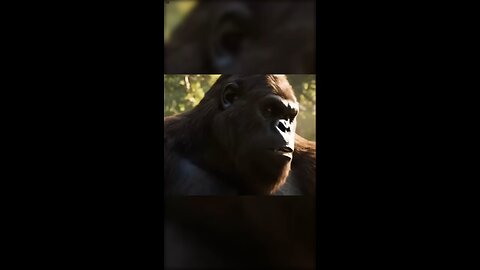 Bigfoot asking the question on everyone's mind