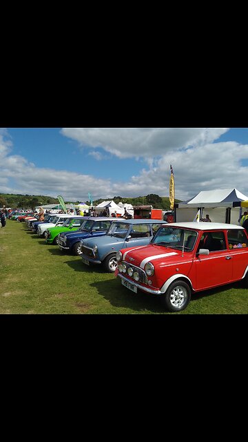 Classic Mini's