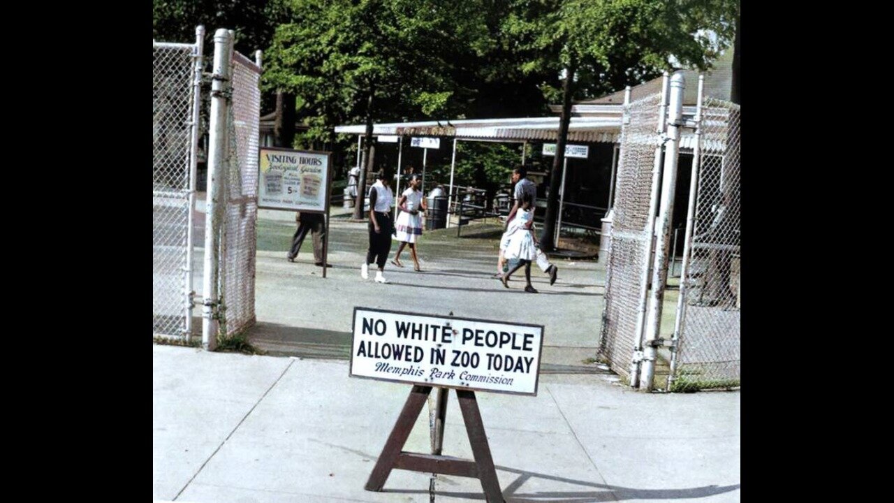 African Americans Show Us in Hundreds of Videos Why Segregation Was Preferred