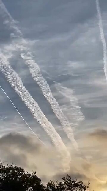 Can We All Agree That These Are ChemTrails That These Planes Have Been Spraying In our Skies?