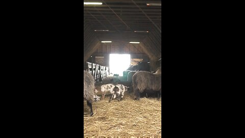 Daily Verse December 22nd 2025