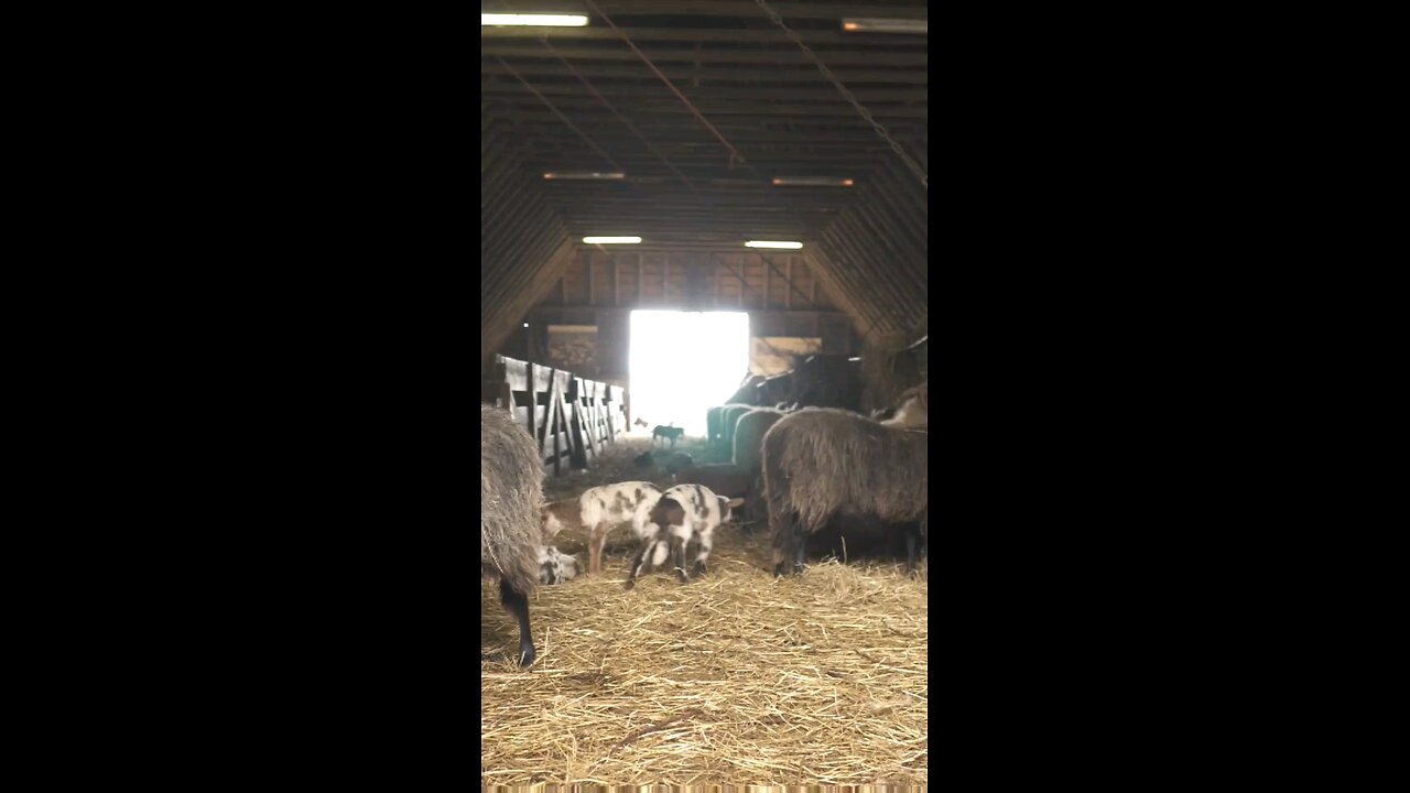 Daily Verse December 22nd 2025