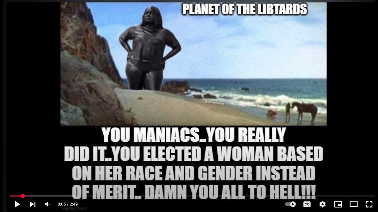 alexandria occasional cortex