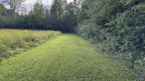 Walk With Tunes