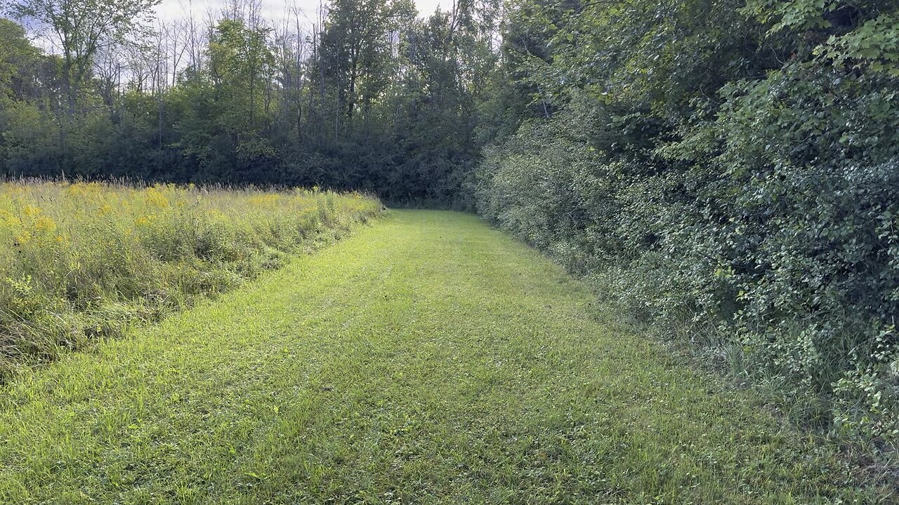 Walk With Tunes