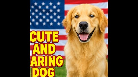 "Cute and Caring USA Dog Will Melt Your Heart! 🇺🇸🐶❤️"