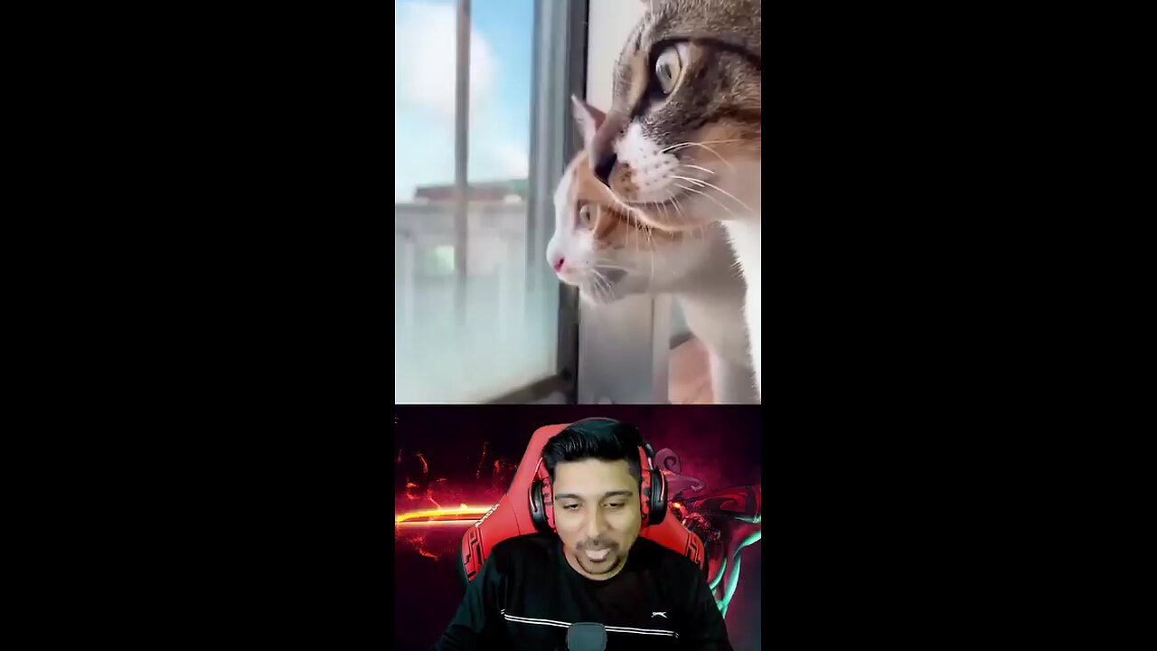 #midreaction #😂😂😂😂🤣🤣🤣