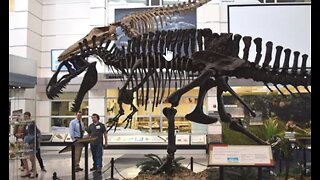 Acrocanthosaurus