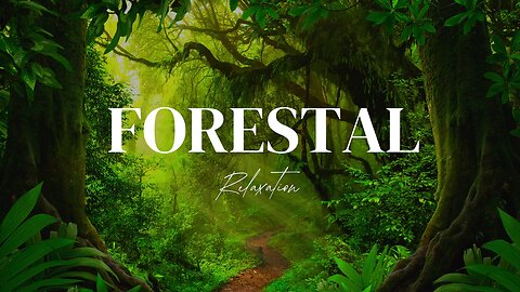 Forestal | Relaxing Forest Music with Nature Sounds for Meditation, Sleep & Peaceful Mind